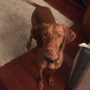 Meet your Posher, Nicole